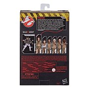 Ghostbusters: Afterlife Plasma Series Action Figures 15 cm 2021 Wave 1 Assortment (8)